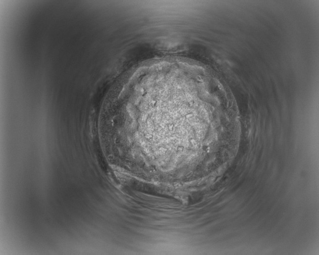 X0000071760515200607071239