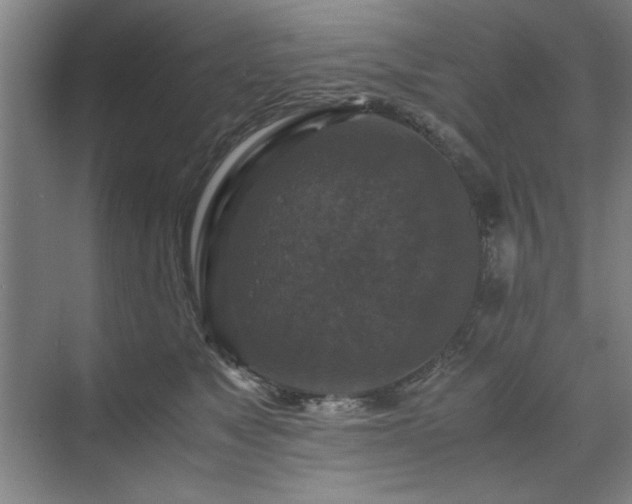 X0000071760517200607071239