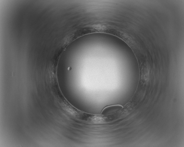 X0000071760518200607071239