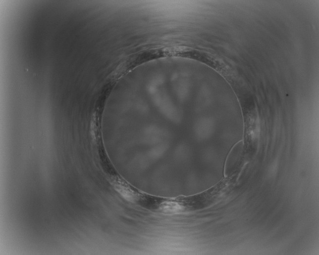 X0000071760519200607071239