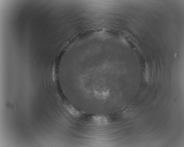 X0000071760520200607071239