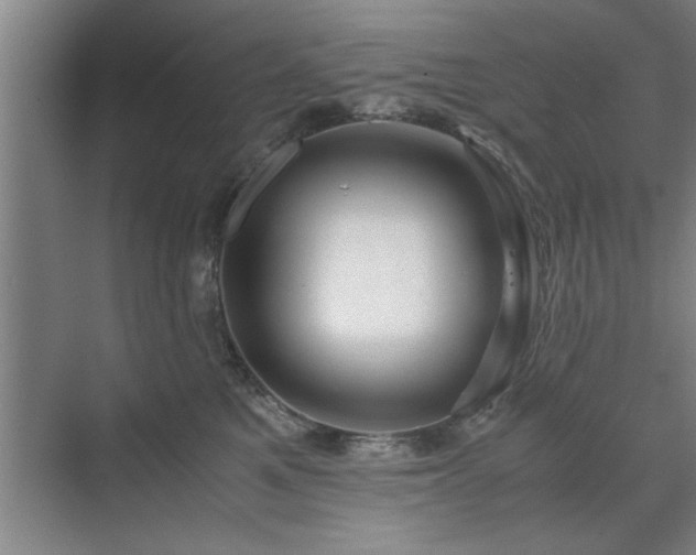 X0000071760521200607071239