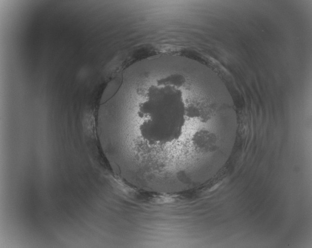 X0000071760523200607071239