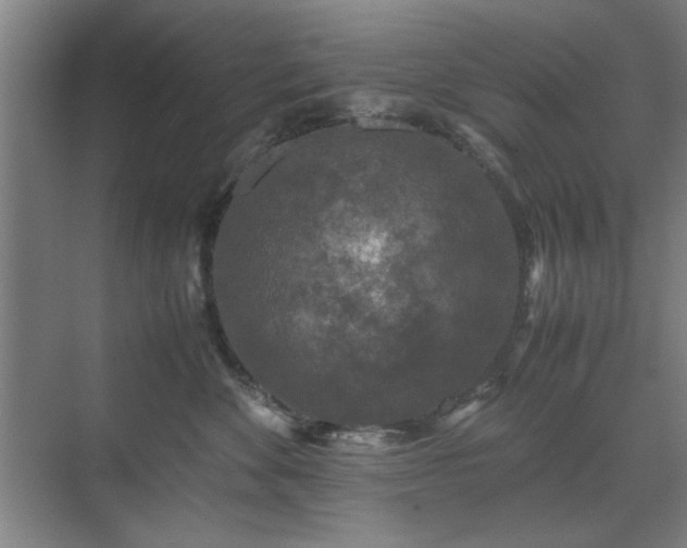 X0000071760524200607071239