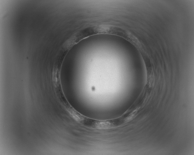 X0000071760525200607071239