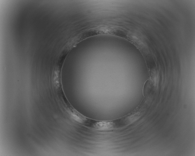 X0000071760526200607071239