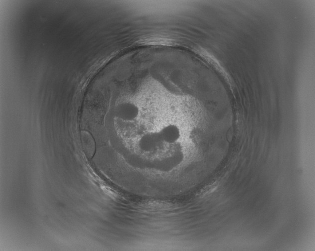 X0000071760529200607071238