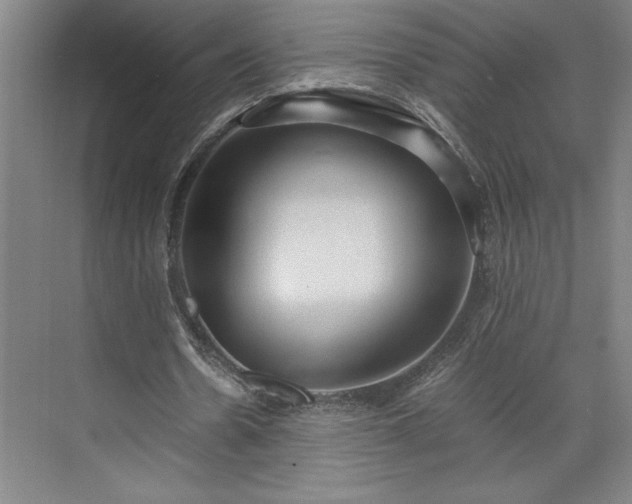 X0000071760530200607071238