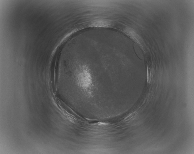 X0000071760531200607071238