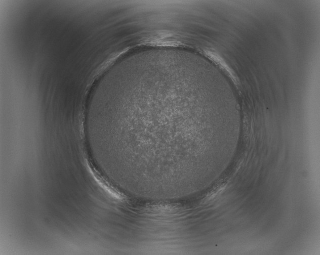 X0000071760533200607071238