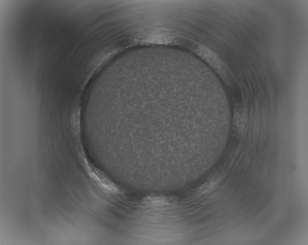 X0000071760534200607071238