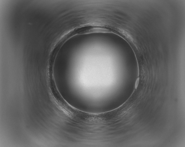 X0000071760535200607071238