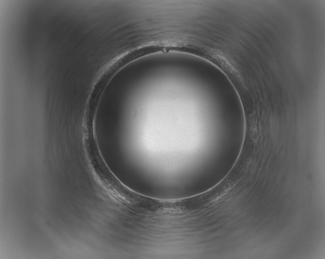 X0000071760536200607071238