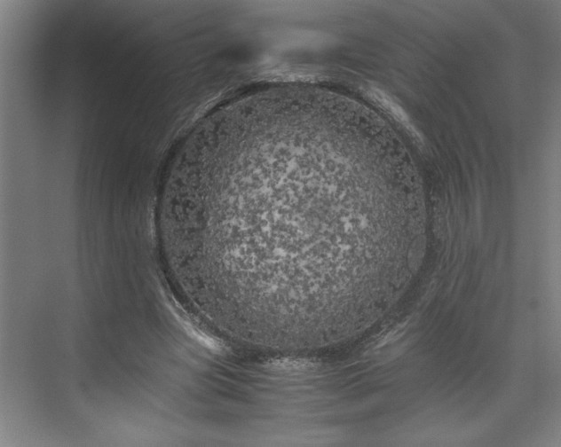 X0000071760537200607071238