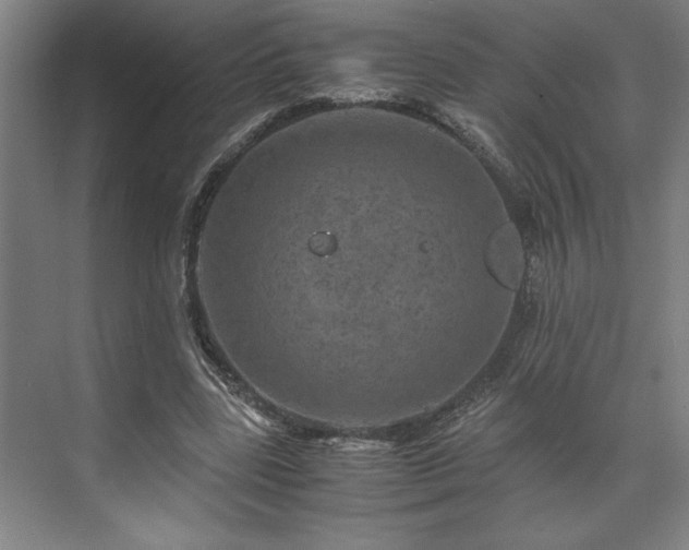 X0000071760539200607071238