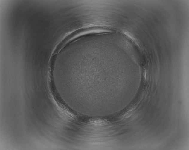 X0000071760540200607071238