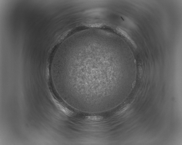 X0000071760541200607071238