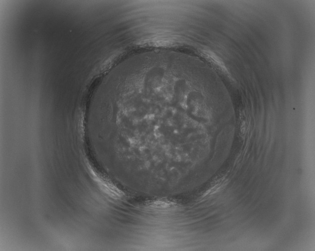 X0000071760542200607071238