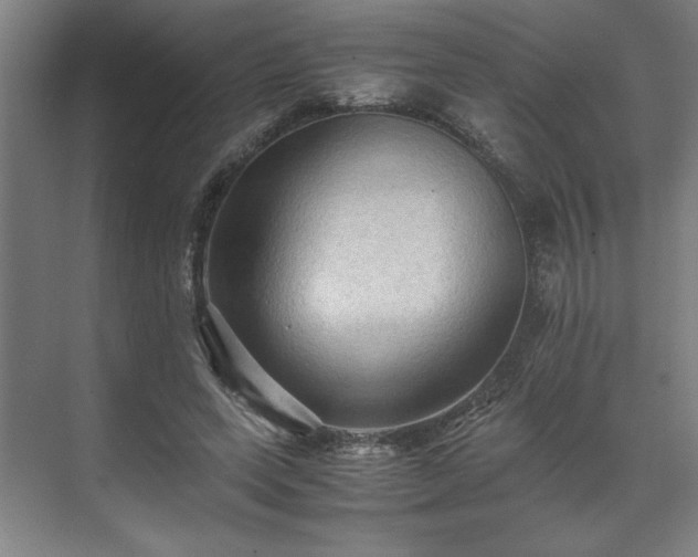 X0000071760543200607071238