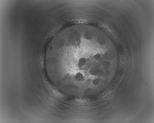 X0000071760545200607071238