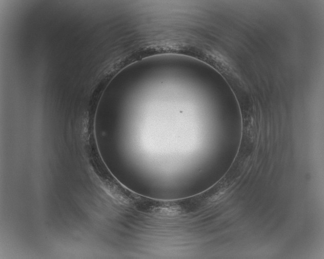 X0000071760548200607071238