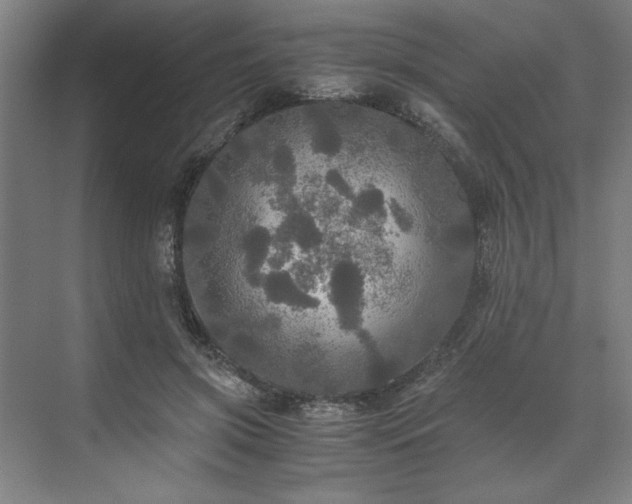 X0000071760549200607071238