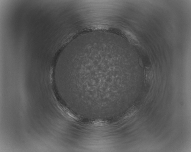 X0000071760550200607071238