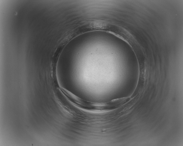 X0000071760552200607071238