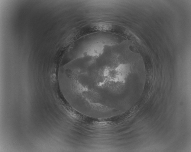 X0000071760553200607071239