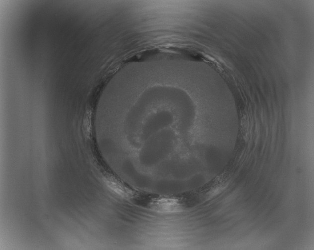 X0000071760554200607071239