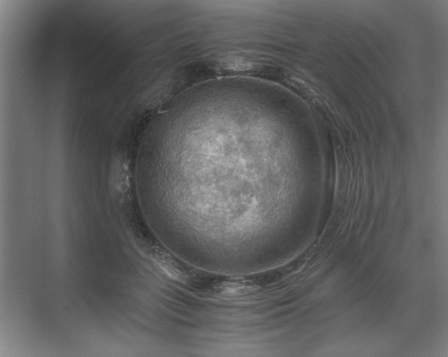 X0000071760555200607071239