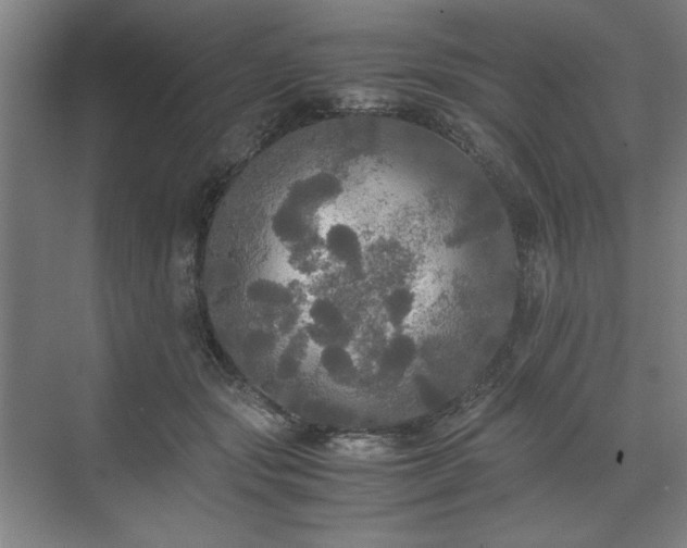 X0000071760557200607071239