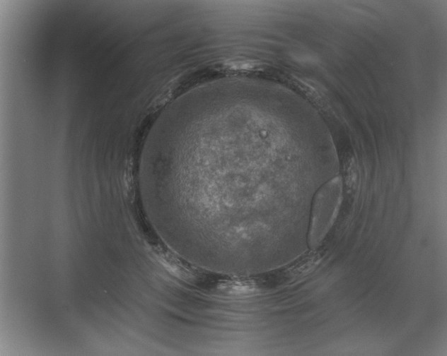 X0000071760559200607071239