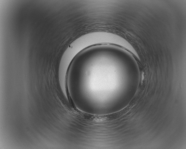 X0000071760560200607071239