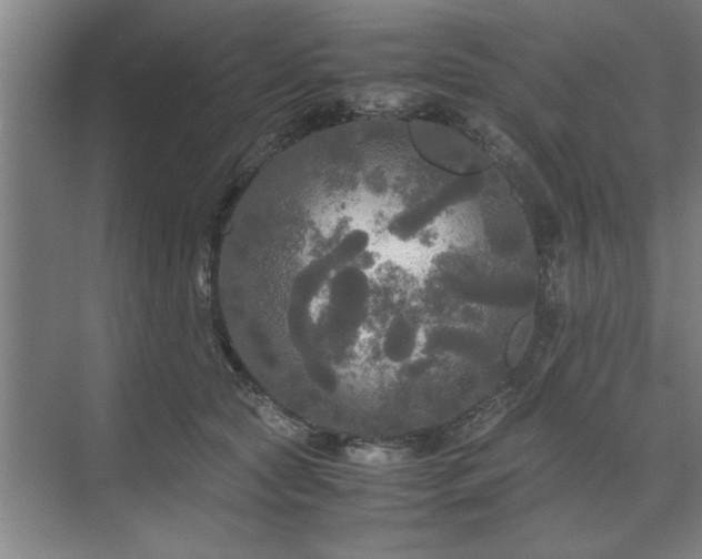 X0000071760561200607071239