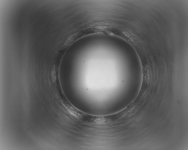 X0000071760562200607071239