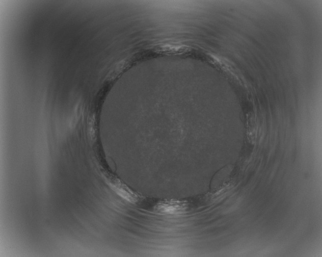 X0000071760563200607071239