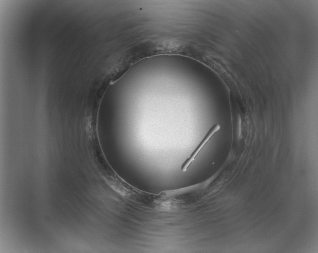 X0000071760564200607071239