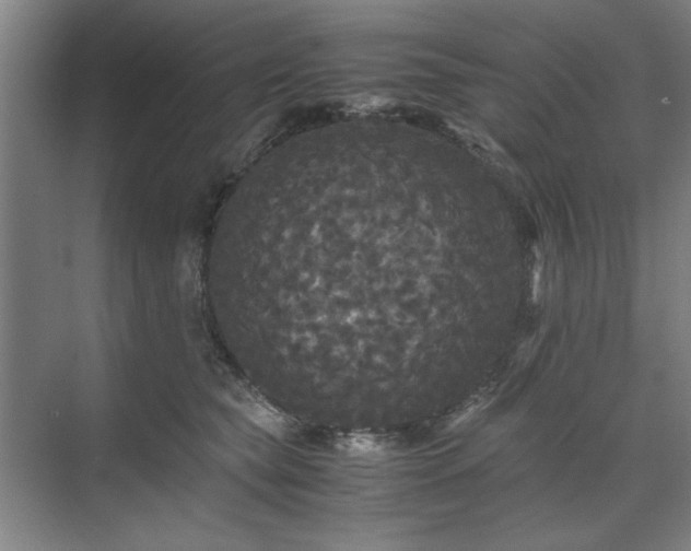 X0000071760565200607071239