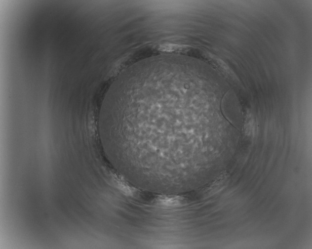 X0000071760569200607071239