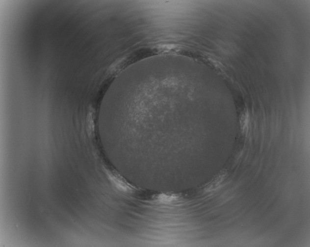 X0000071760570200607071239