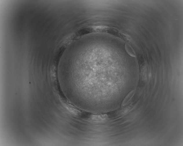 X0000071760571200607071239