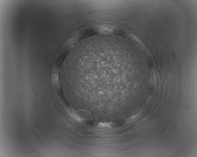 X0000071760573200607071239