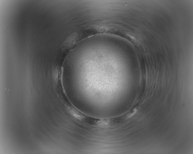 X0000071760574200607071239