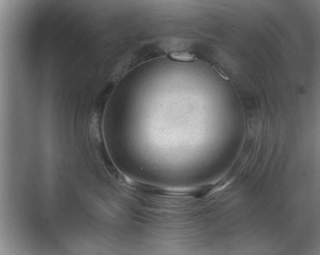 X0000071760575200607071239