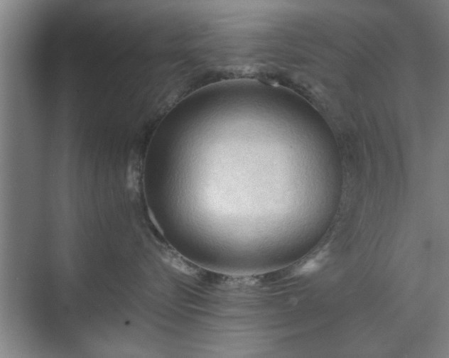 X0000071760576200607071239