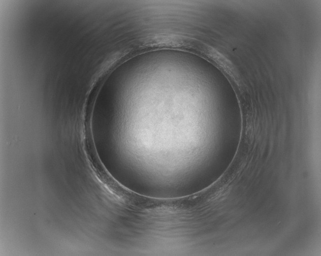 X0000071760578200607071238