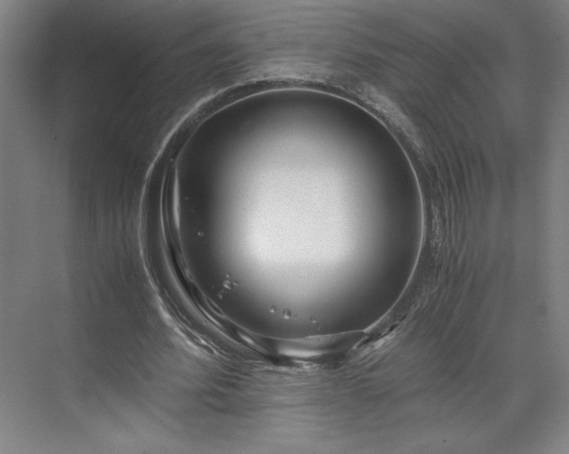 X0000071760580200607071238