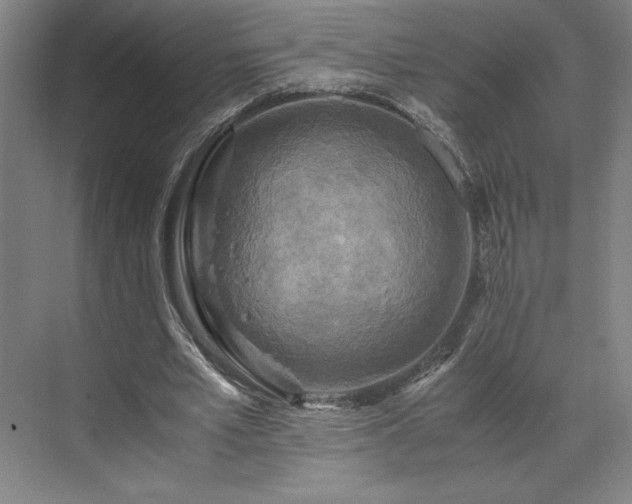 X0000071760581200607071238