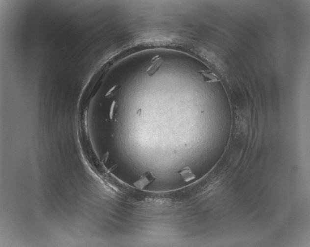 X0000071760582200607071238